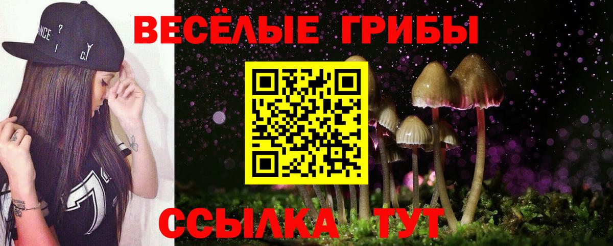Алексеевка  Псилоцибиновые грибы Psilocybe  Вход с VPN 
