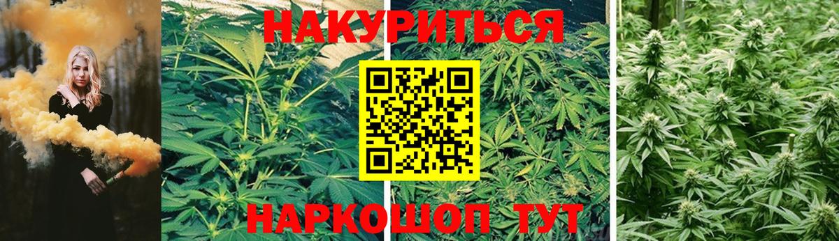 Конопля AK-47  Вход с VPN  Алексеевка  Конопля LSD WEED  Конопля SATIVA & INDICA  Бошки марихуана тримм 